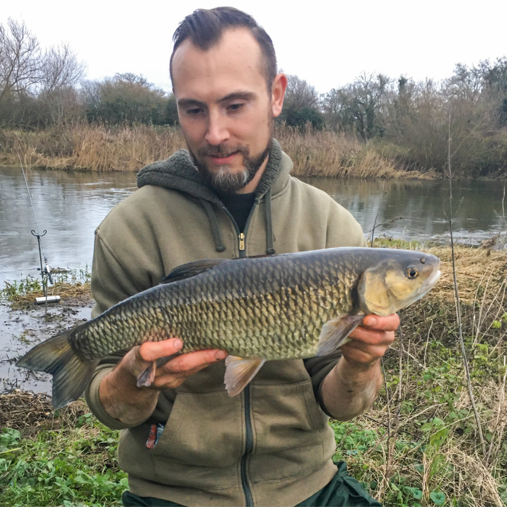 Big chub on the River Stour - Cadence Fishing UK
