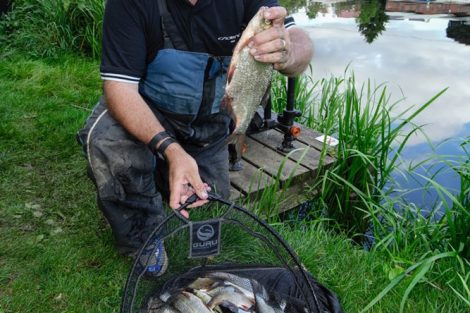 Alan with his catch of skimmers for third individual