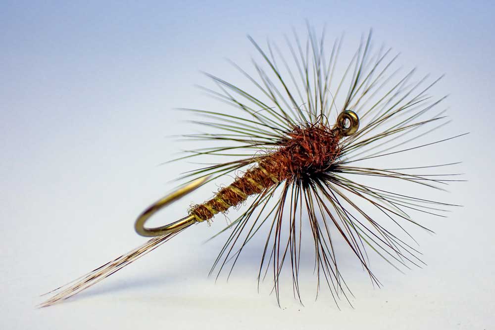 Dark Olive Fishing, Spring Time Fly Fishing - Cadence Fly Fishing