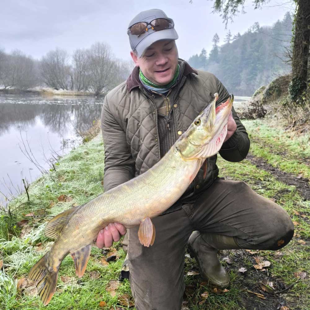 Predator Fly rods