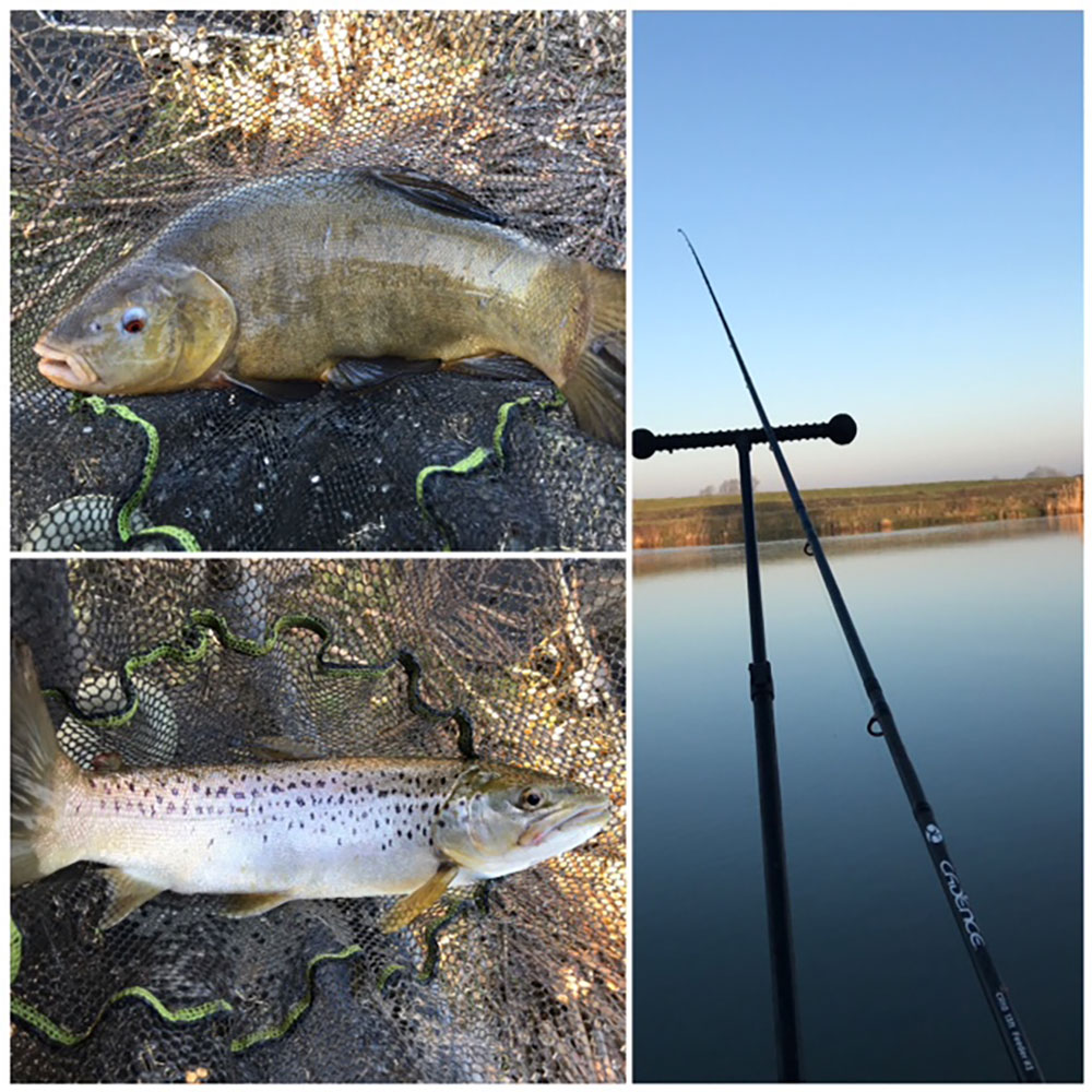 River Tench Fishing on the Relief Channel - Cadence Fishing UK