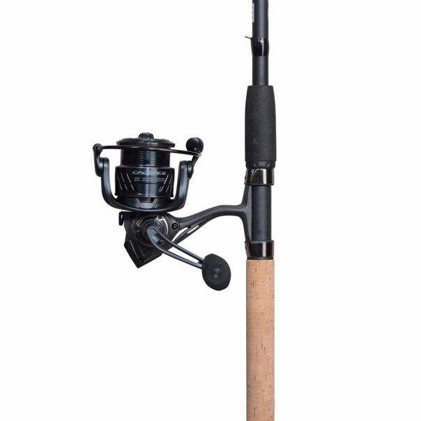 10ft match fishing rod